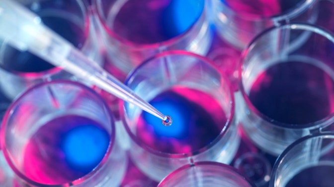 Sono stati ottenuti in laboratorio embrioni umani artificiali “completi”